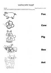 3 Letter Word Matching Worksheets Image