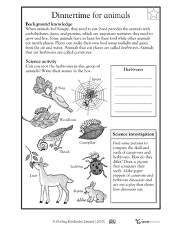 4th Grade Science Worksheets Animals