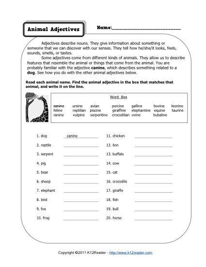 Fourth Grade Adjective Worksheets
