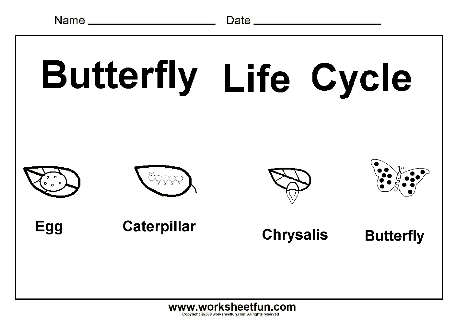 13-free-butterfly-worksheets-kindergarten-worksheeto