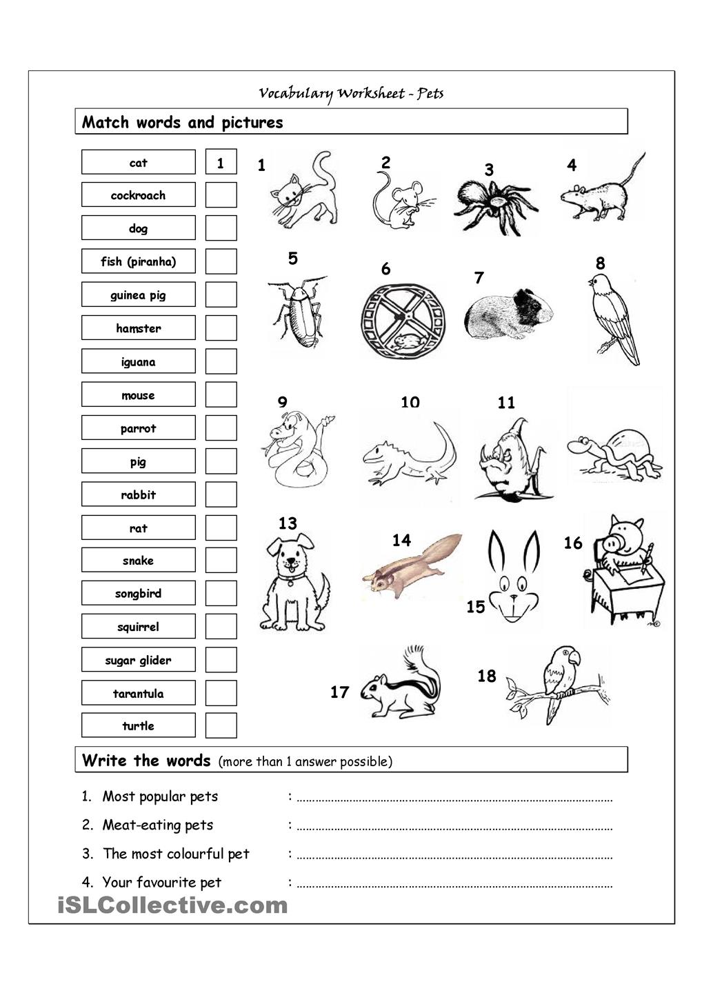 Free Printable Pet Worksheets Image