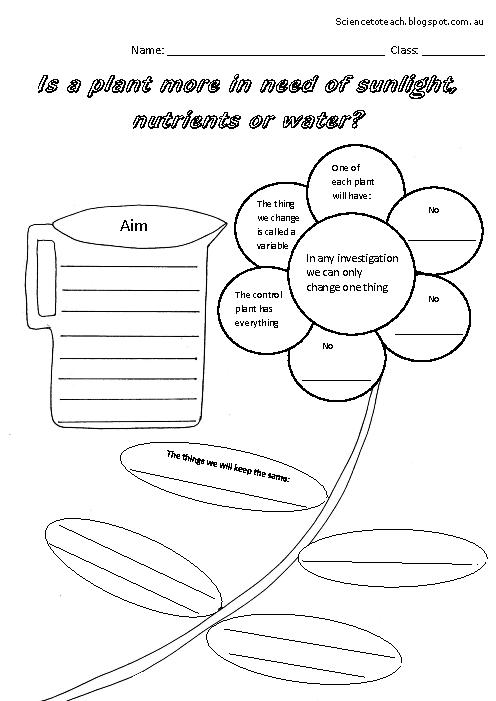 Grade Science Worksheets Plants Image