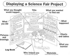 High School Science Fair Board Layout Image