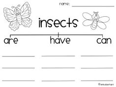 Insect Worksheets Image