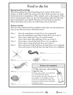 Insects Worksheets for 3rd Grade Science Image