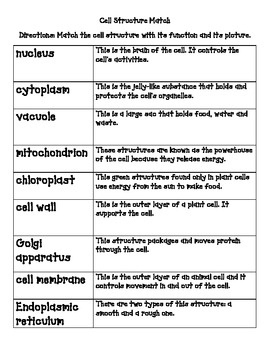 Plant and Animal Cell Study Guide Image