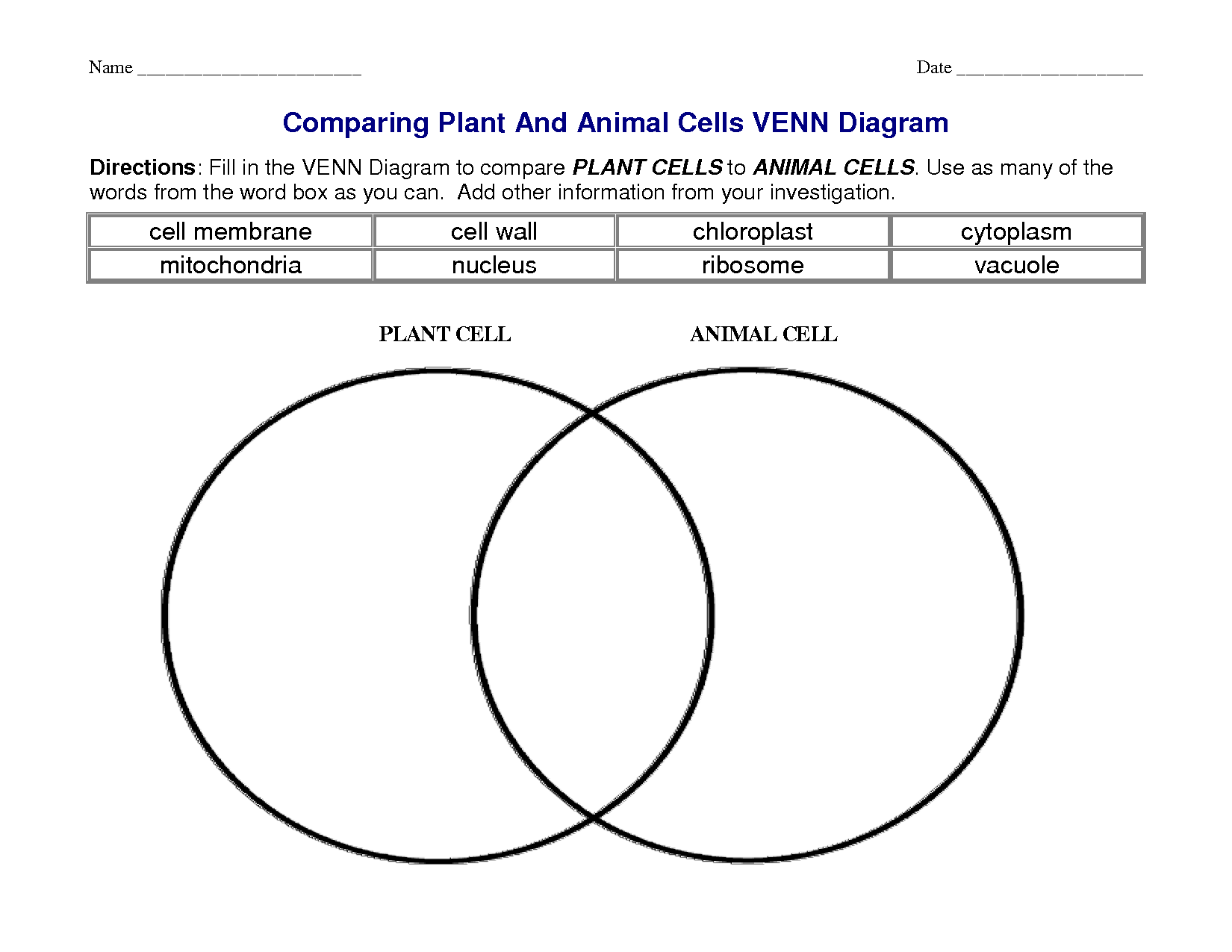 Plant and Animal Cell Venn Diagram