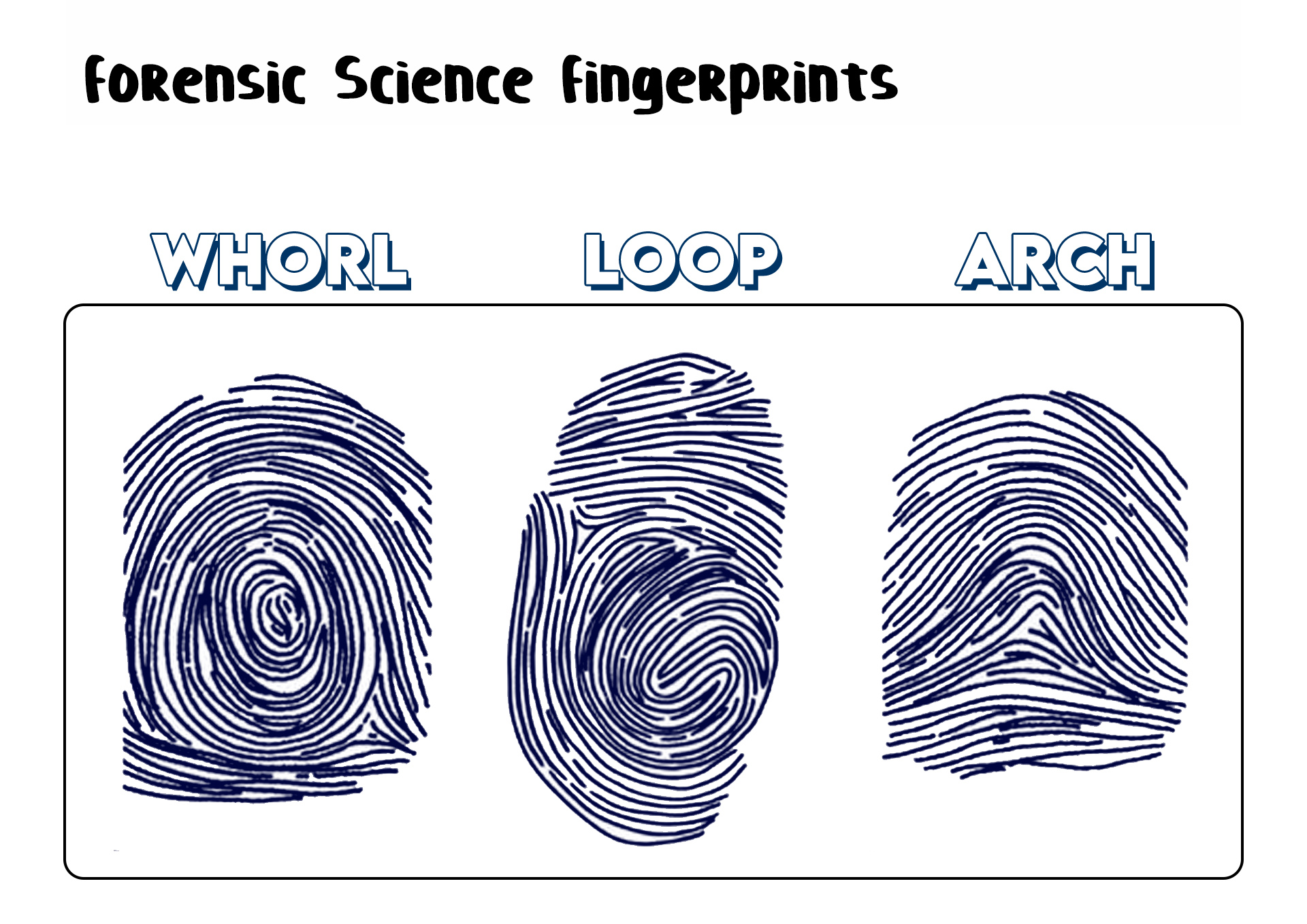 Forensic Science Fingerprints Image