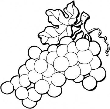 Grapes Coloring Page