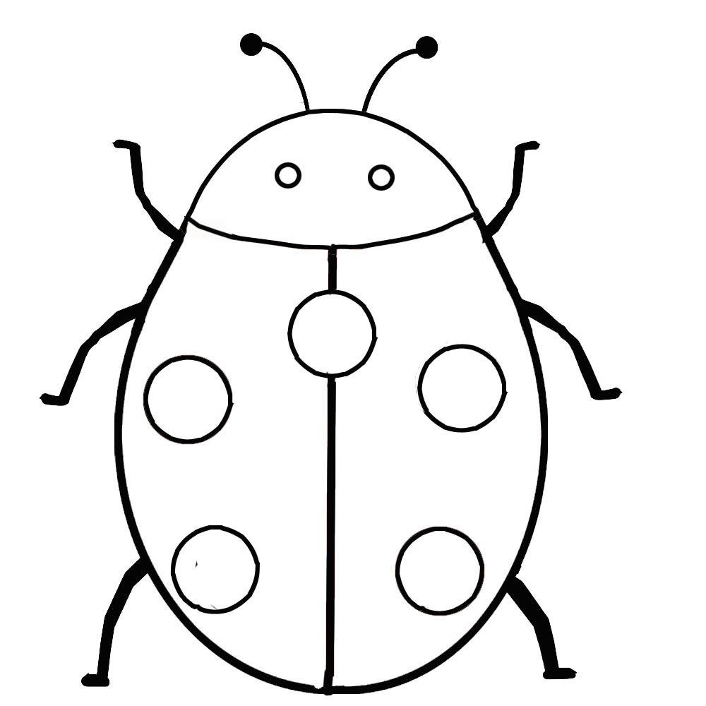 Ladybug Drawing Coloring Page Image