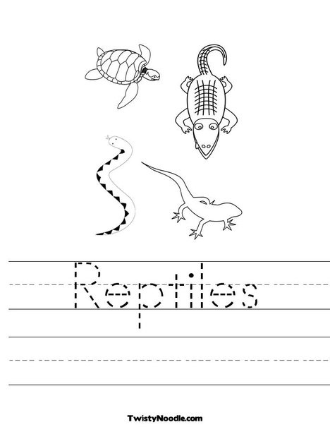 Reptile Worksheet Kindergarten Image
