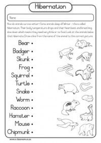 Winter Animal Hibernation Worksheets Image