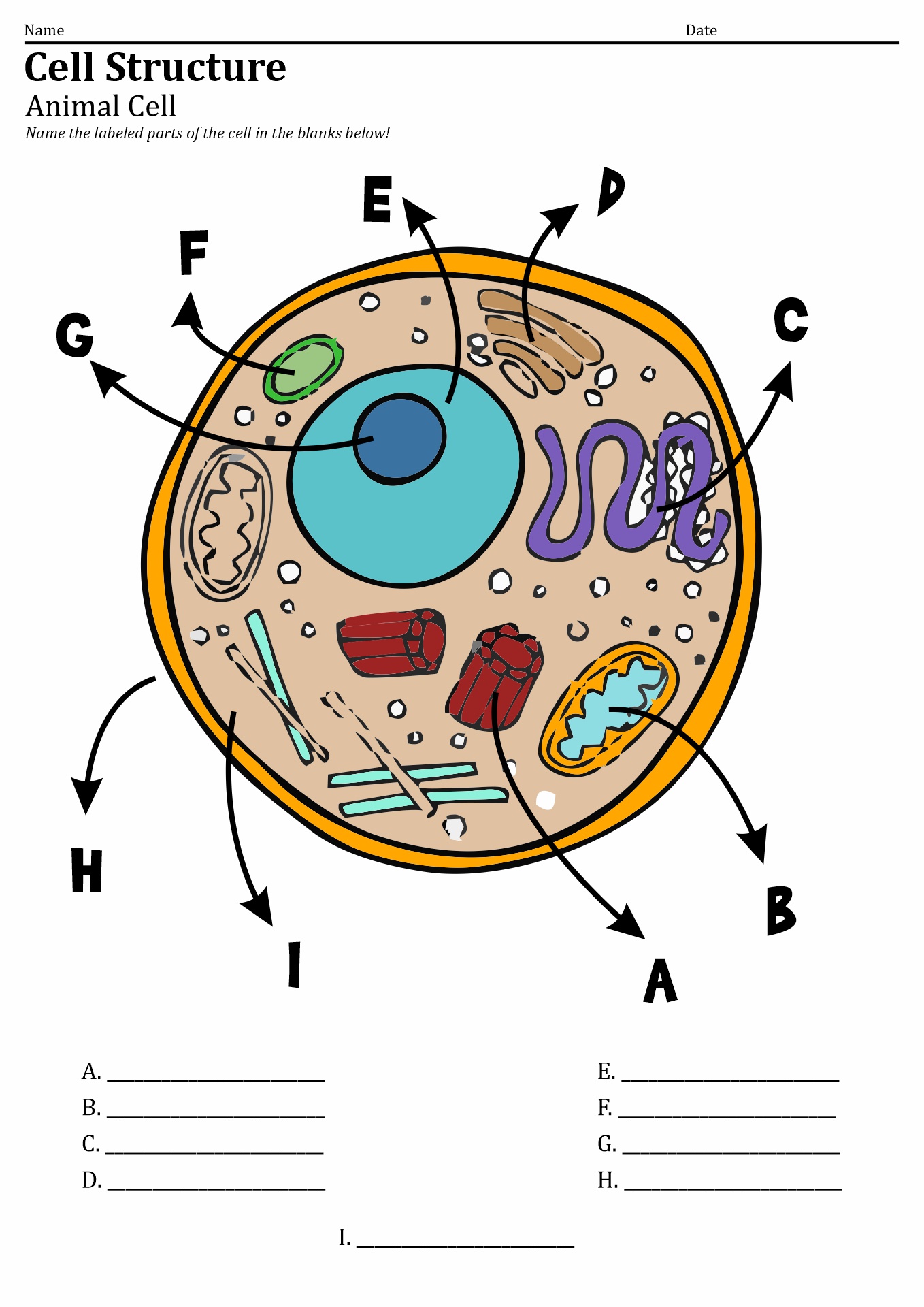 7th Grade Science Cells Worksheets