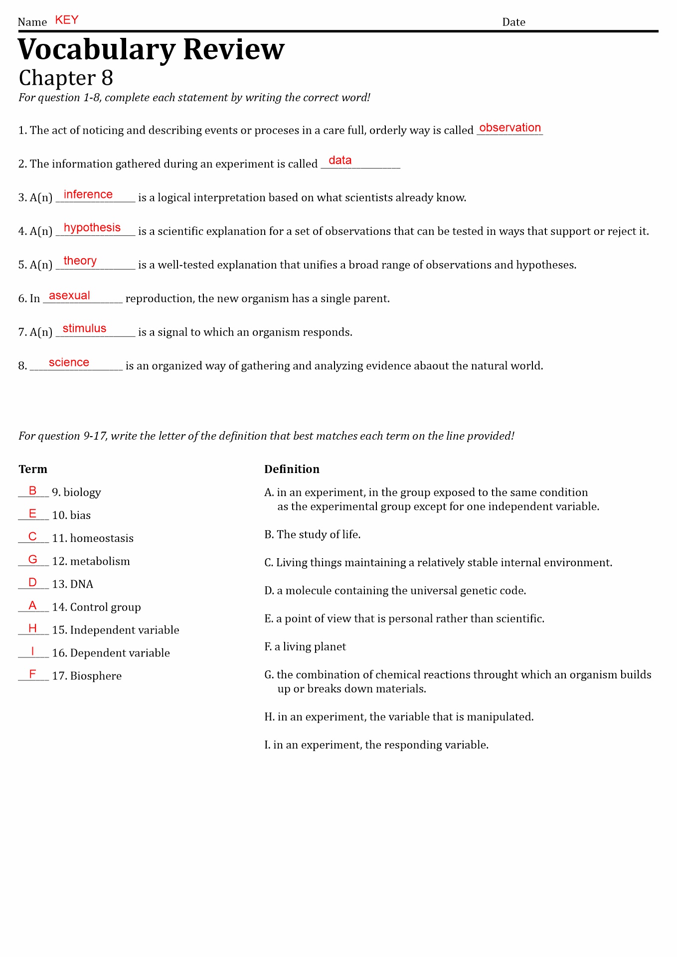 Biology Chapter 8 Vocabulary Review Answer Key