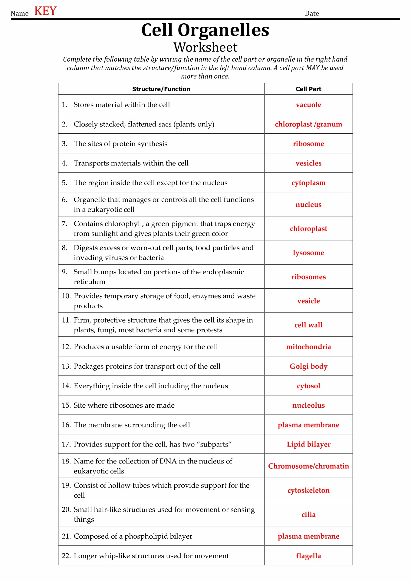 Cell and Organelles Worksheet Answer Key