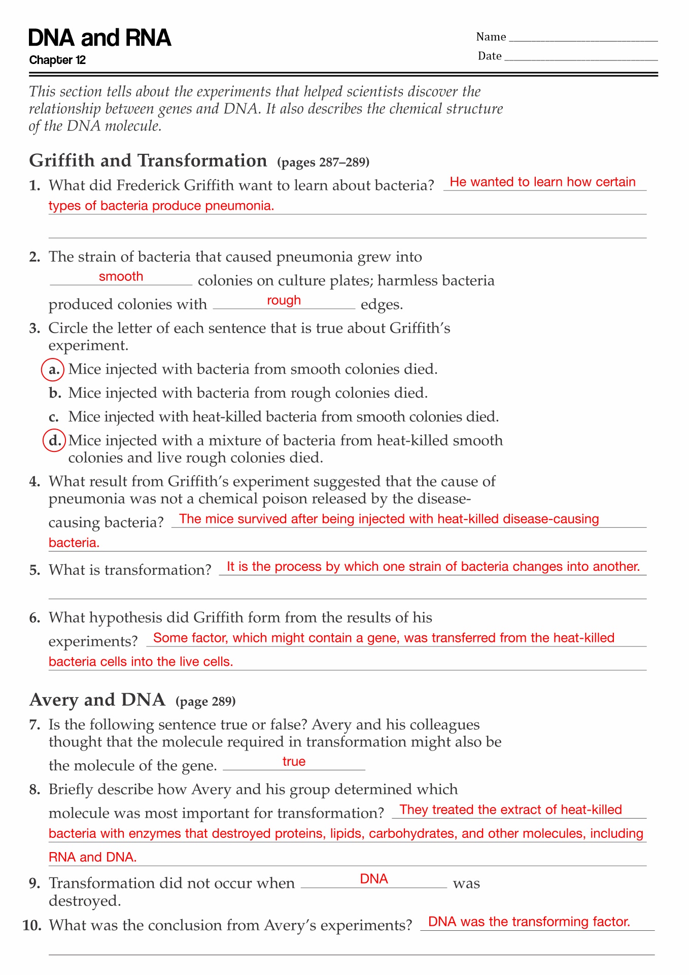 Chapter 12 DNA and RNA Answer Key