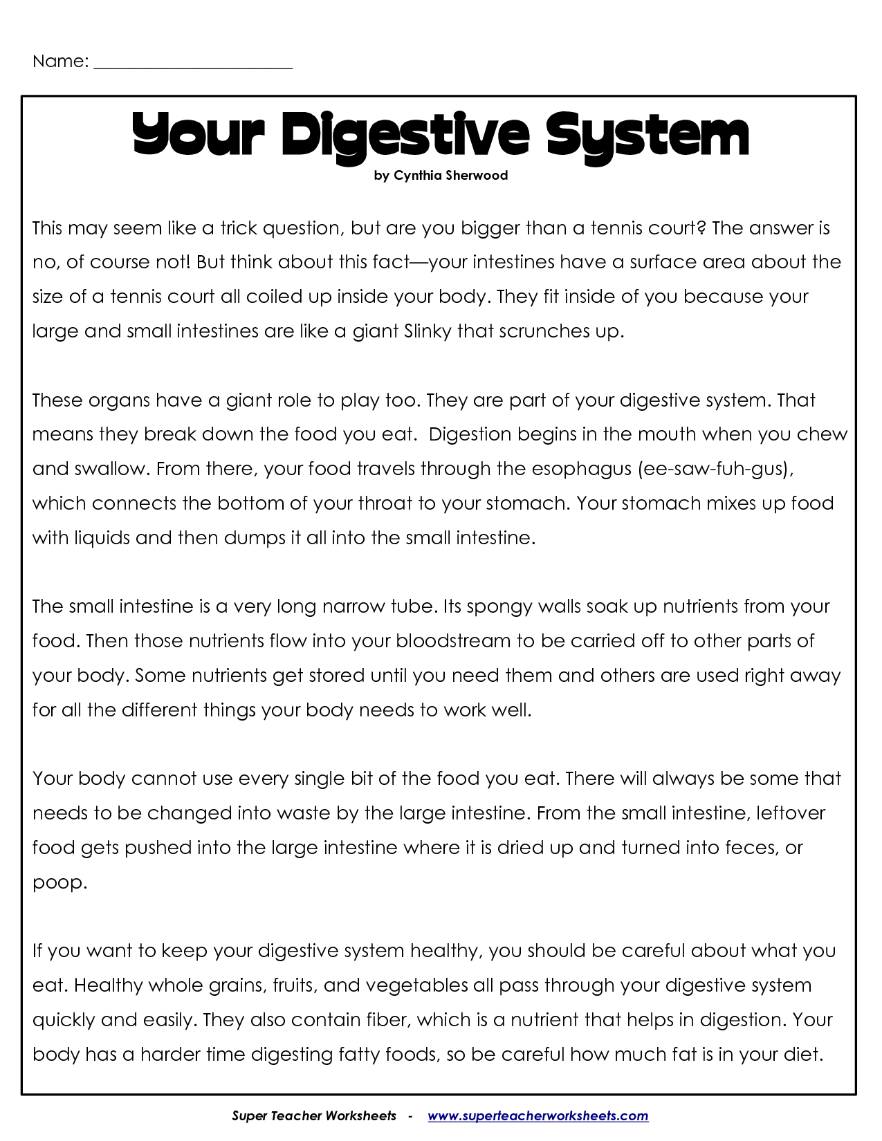 Digestive System Worksheet Image