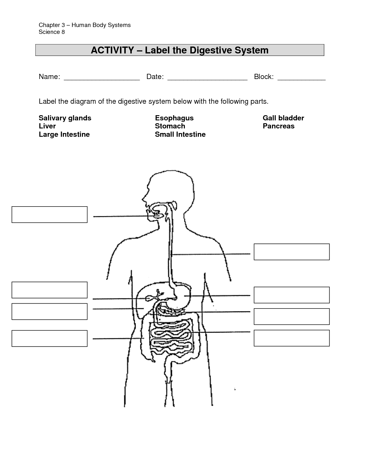 Label Digestive System Diagram Image