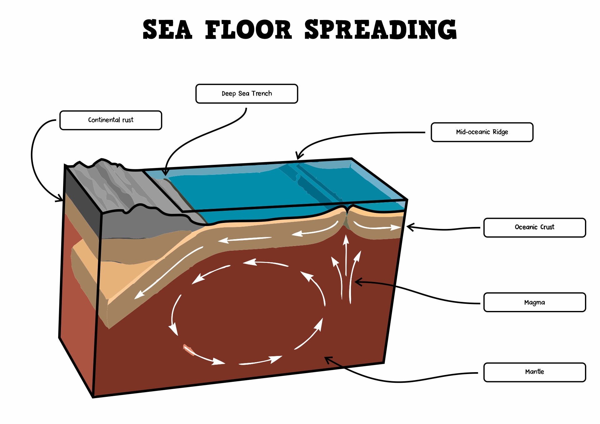Sea Floor Spreading Diagram