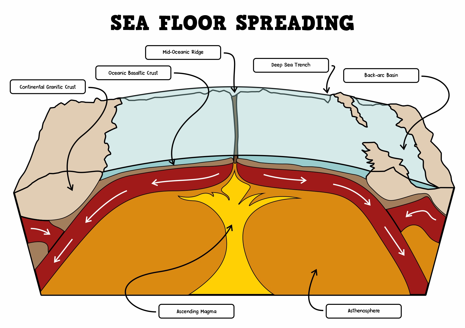 Sea Floor Spreading Diagram Image