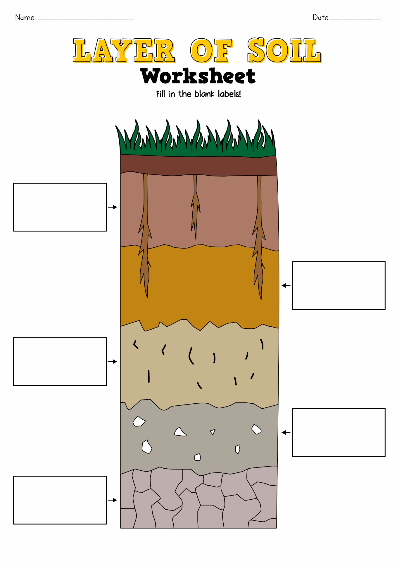 Soil Layers Worksheets for 3rd Grade