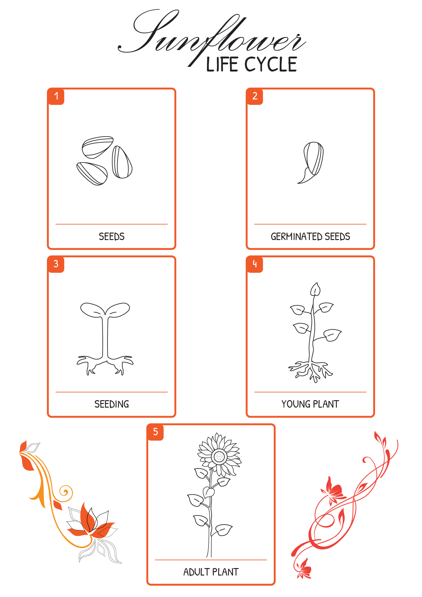 Story Sequencing Cards Free Printables