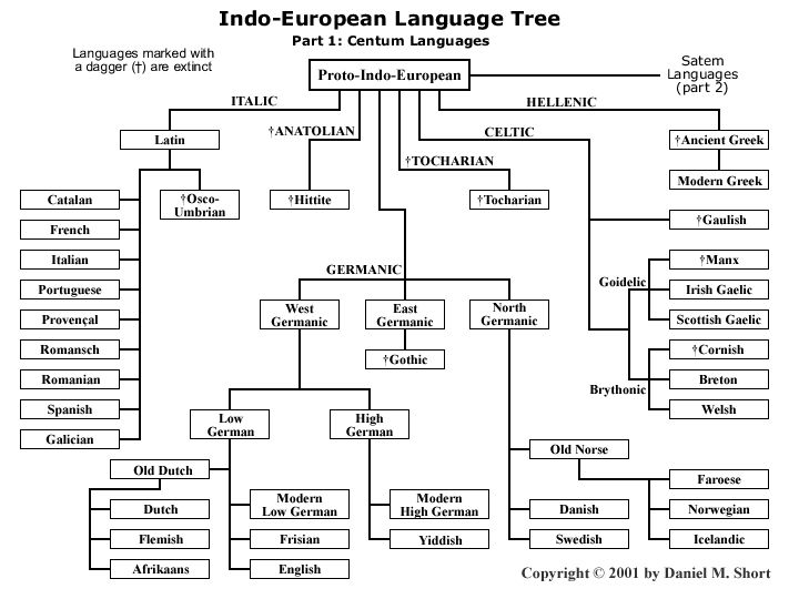 Indo-European Language Family Tree Image
