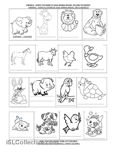 Activities Kindergarten Animal Worksheets Image