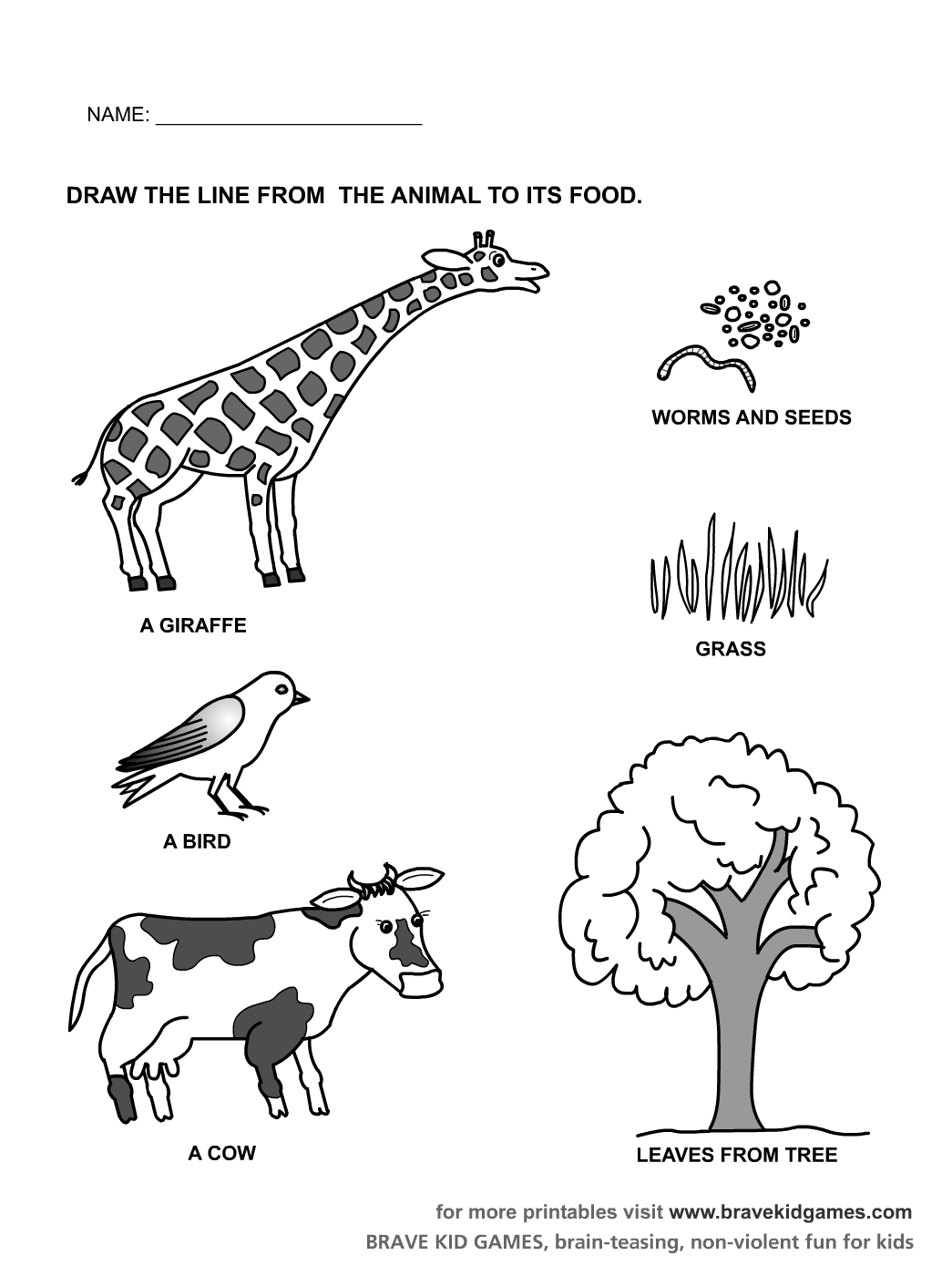 14 Best Images of Mammal Worksheets For Kindergarten