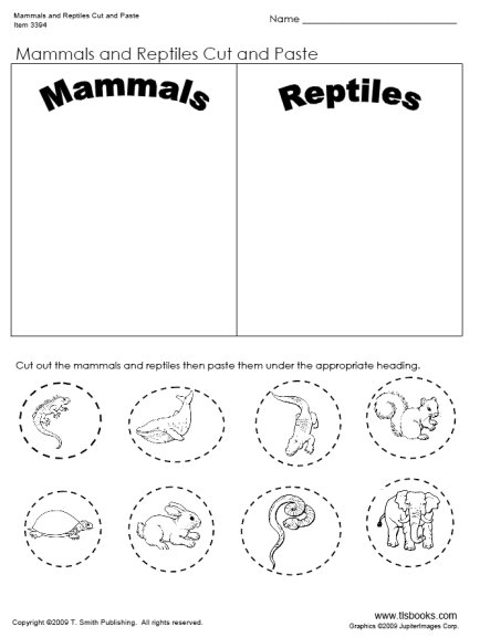 Reptile Mammal Cut and Paste Worksheets Image