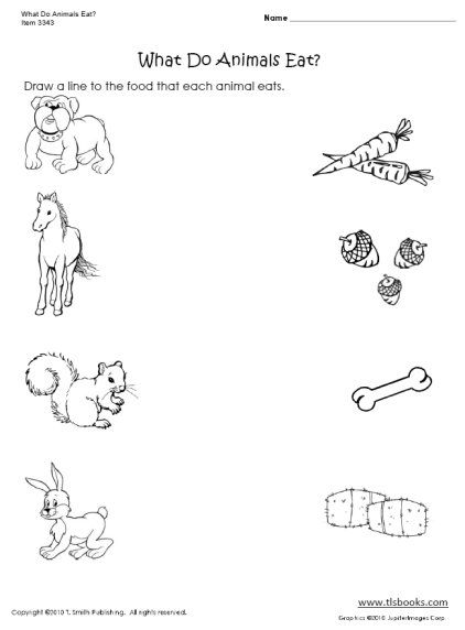 What Do Animals Eat Worksheet Image