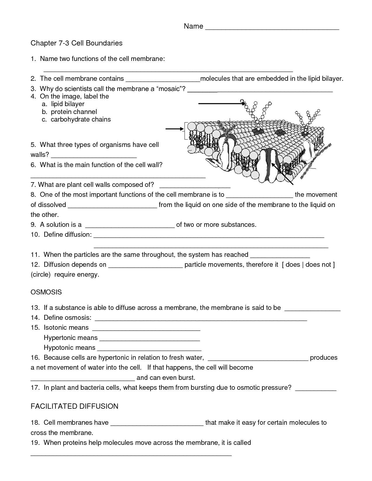 essay questions on cell biology