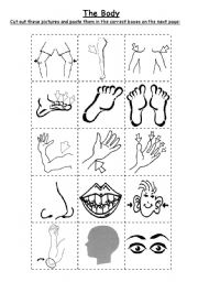 Cut and Paste Body Parts Worksheet
