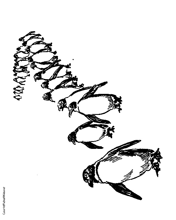 Penguin Math Coloring Page Image