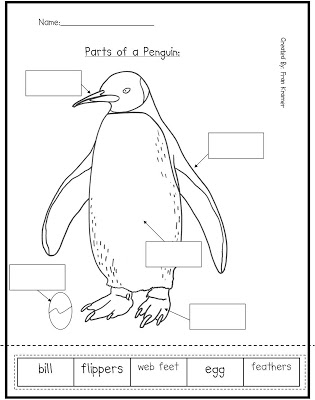 Penguin Parts Image