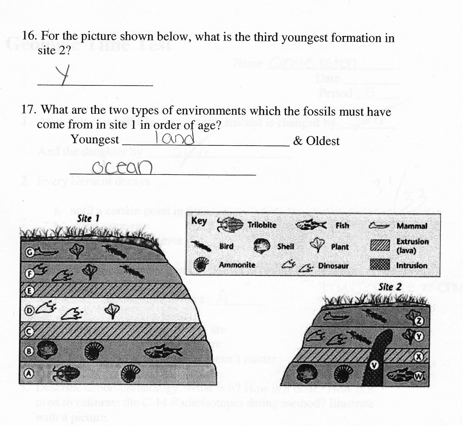 Fossils And Relative Dating Worksheet