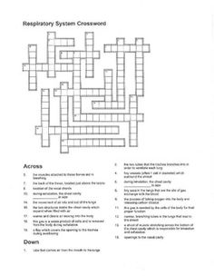 Respiratory System Crossword Puzzle