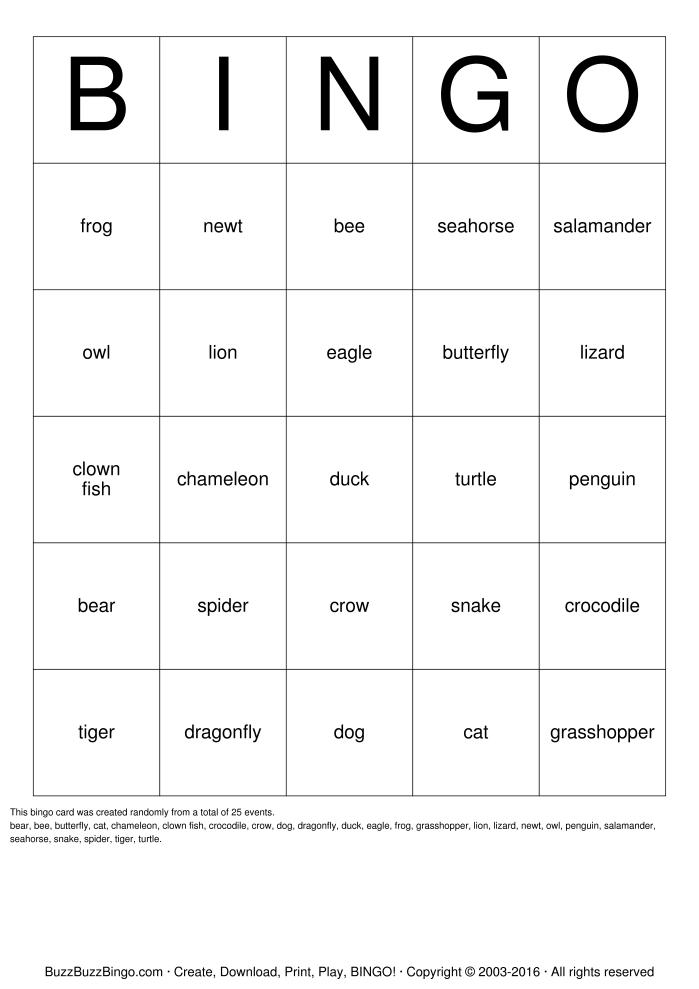Animal Classification Bingo Image