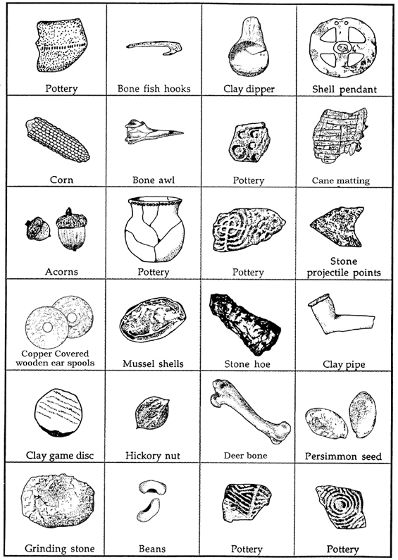 Classifying Living Things Worksheet Image