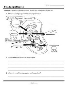 Photosynthesis Worksheets High School Image