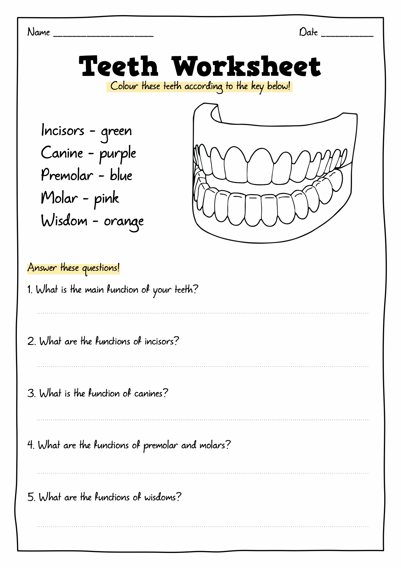 Printable Teeth Worksheets Image