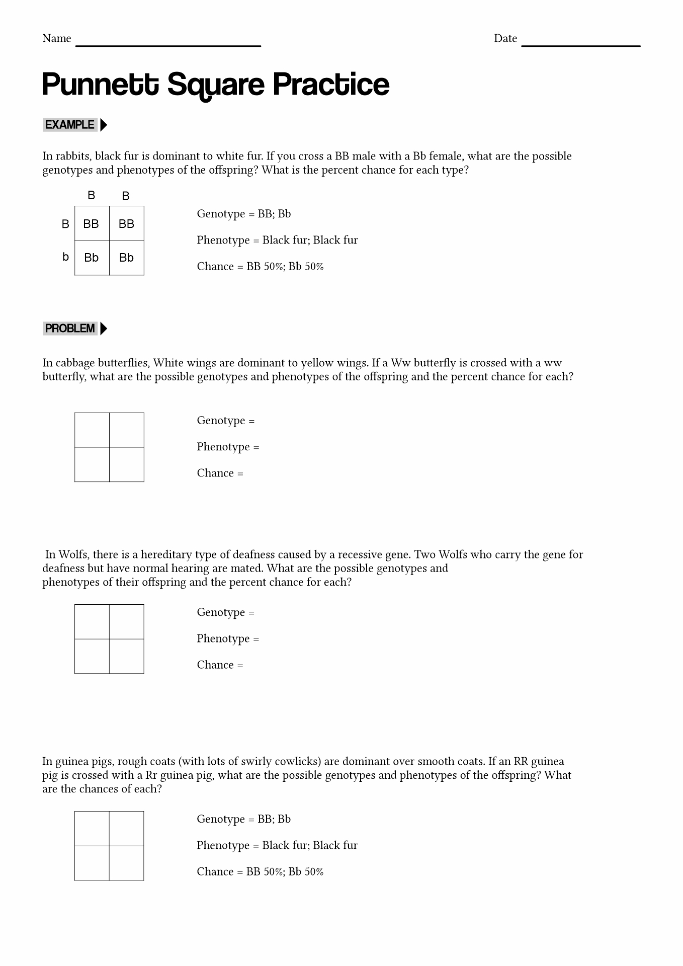 Punnett Square Practice with Answers Image