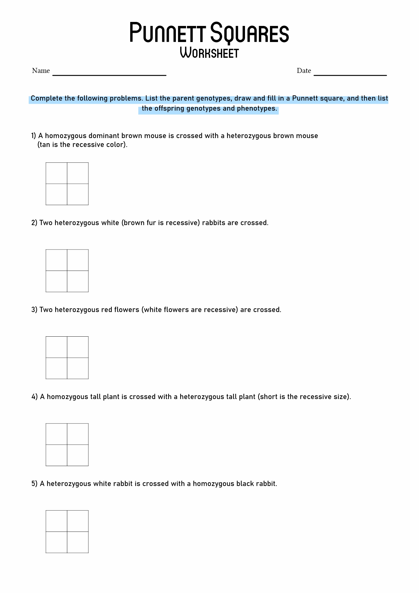 Punnett Square Worksheet Answers Image