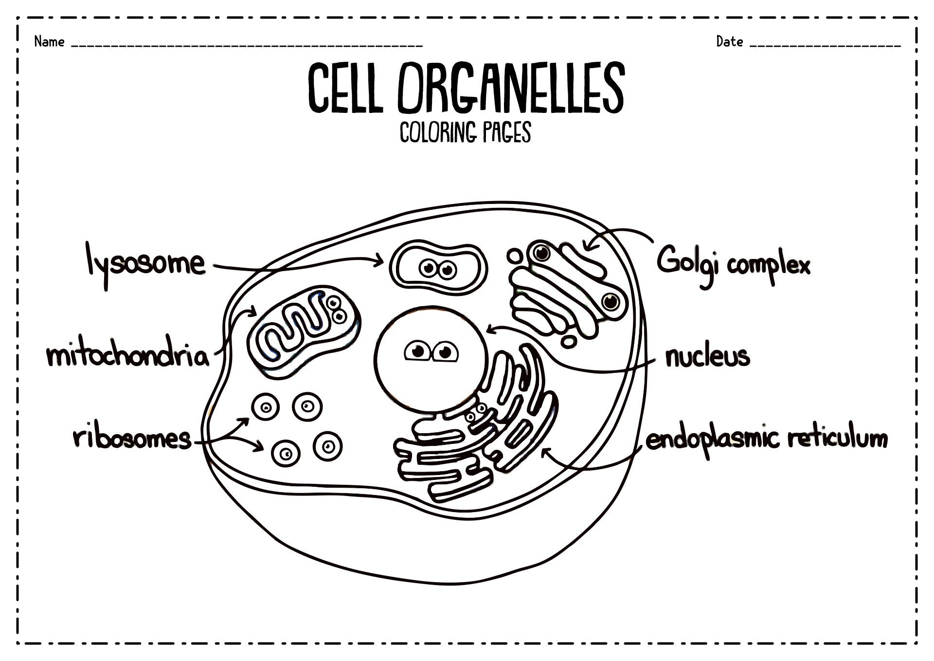 15 Label Cell Organelles Worksheet Free PDF At Worksheeto