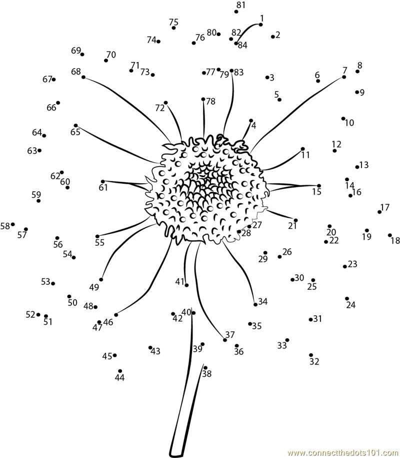 Connect the Dots Coloring Page Flowers Image