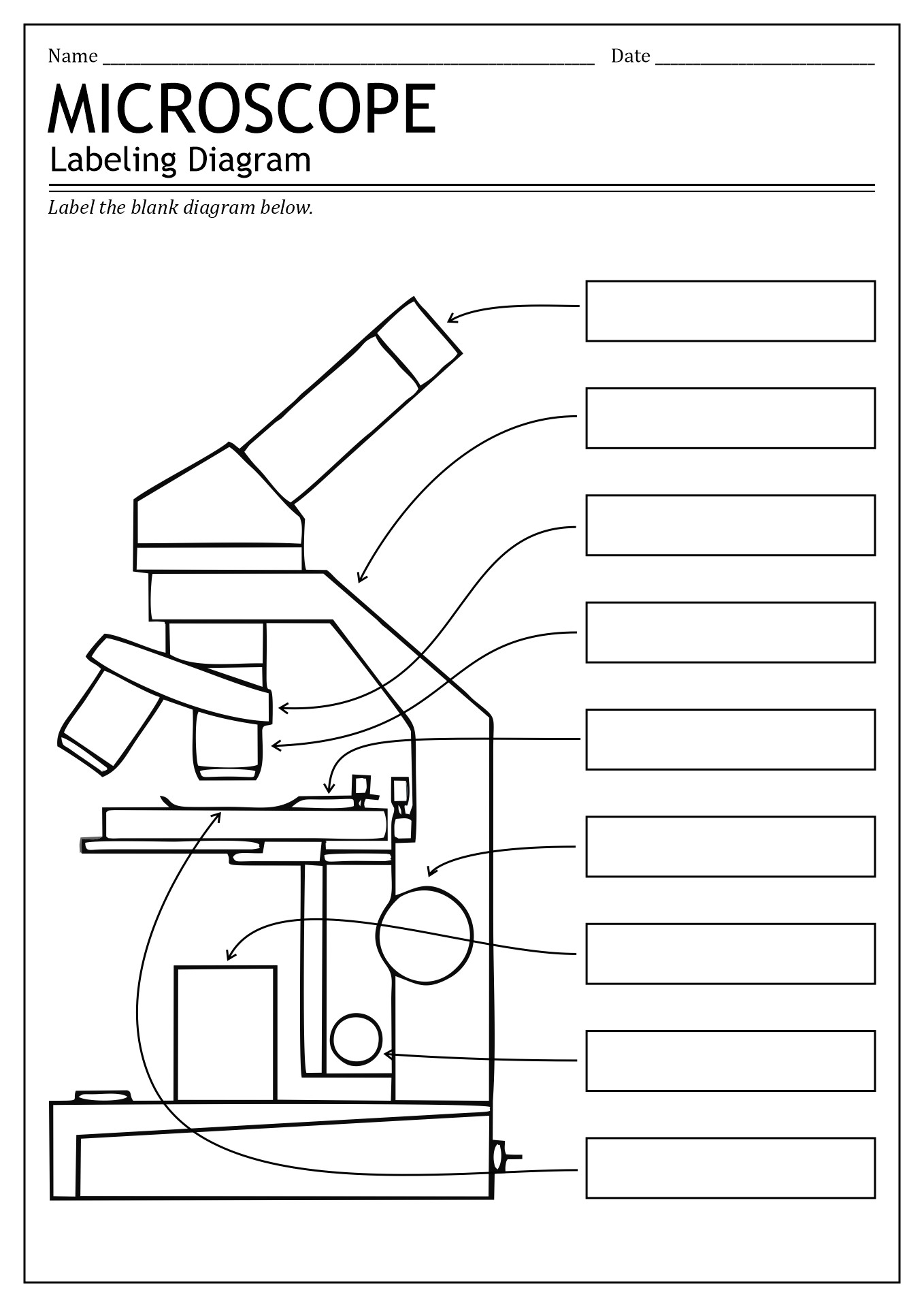 Microscope Parts Labeled Simple Worksheet Labeling Diagram Light Blank Microscope Parts Labeled Simple Worksheet Labeling Diagram Light Blank
