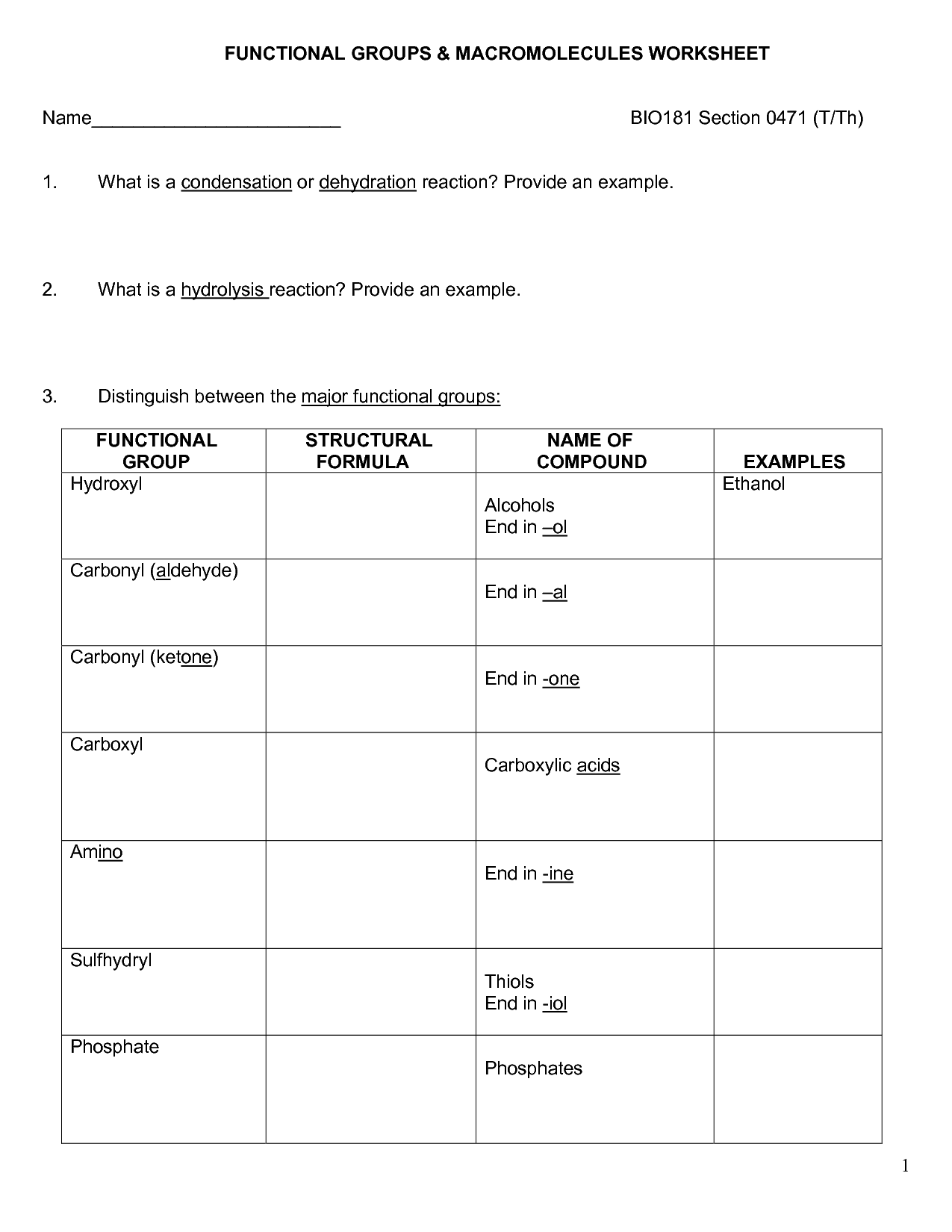 14-macromolecules-review-worksheet-answer-key-worksheeto