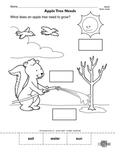 Basic Needs of Plants and Animals Worksheet Image