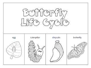 Butterfly Life Cycle Printable Worksheet Image