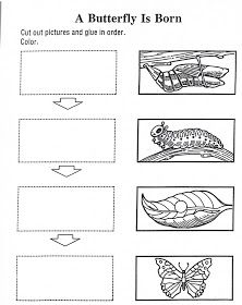 Butterfly Life Cycle Sequencing Activity Image